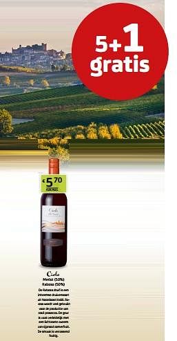 Promotions Cielo merlot raboso - Vins rouges - Valide de 29/07/2022 à 11/08/2022 chez BelBev