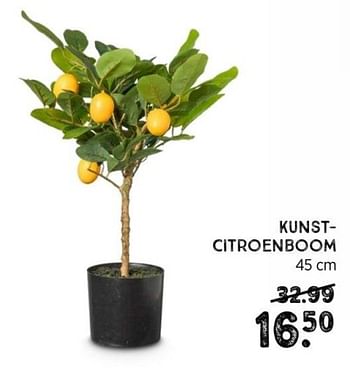 Promoties Kunst- citroenboom - Huismerk - Xenos - Geldig van 01/08/2022 tot 07/08/2022 bij Xenos