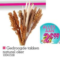 Gedroogde takken naturel oker-Huismerk - Yess
