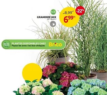 Promotions Graminee mix - Produit maison - Brico - Valide de 10/08/2022 à 22/08/2022 chez Brico