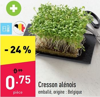 Promotions Cresson alénois - Produit maison - Aldi - Valide de 15/08/2022 à 20/08/2022 chez Aldi