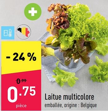 Promotions Laitue multicolore - Produit maison - Aldi - Valide de 15/08/2022 à 20/08/2022 chez Aldi