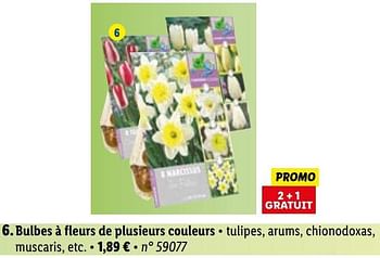 Promotions Bulbes à fleurs de plusieurs couleurs - Produit maison - Lidl - Valide de 29/08/2022 à 03/09/2022 chez Lidl