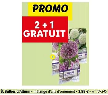 Promotions Bulbes d’allium - Produit maison - Lidl - Valide de 29/08/2022 à 03/09/2022 chez Lidl