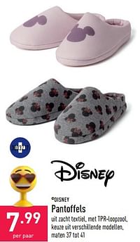 Pantoffels-Disney