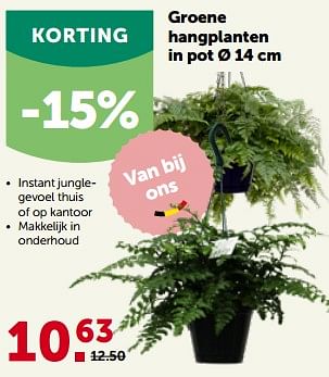 Promoties Groene hangplanten in pot - Huismerk - Aveve - Geldig van 26/09/2022 tot 08/10/2022 bij Aveve