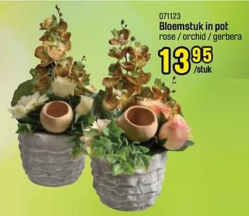 Promoties Bloemstuk in pot - Huismerk - Happyland - Geldig van 26/09/2022 tot 05/11/2022 bij Happyland