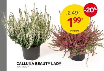 Promoties Calluna beauty lady - Huismerk - Brico - Geldig van 28/09/2022 tot 17/10/2022 bij Brico