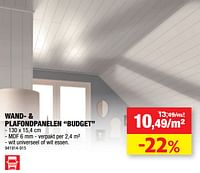 Wand- + plafondpanelen budget-Huismerk - Hubo 