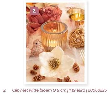 Promoties Clip met witte bloem - Huismerk - Ava - Geldig van 01/10/2022 tot 31/12/2022 bij Ava