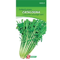 Somers zaad pakket suikerij groen 'Catalogna'