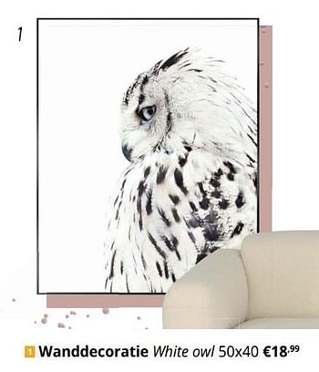Promoties Wanddecoratie white owl - Huismerk - Ygo - Geldig van 01/11/2022 tot 27/11/2022 bij Ygo