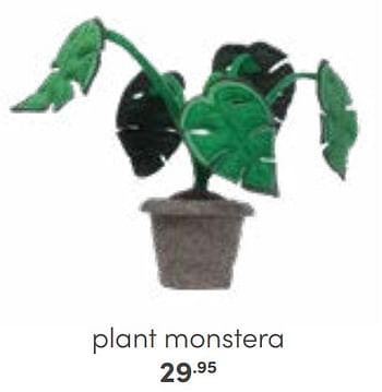 Promoties Plant monstera - Huismerk - Baby & Tiener Megastore - Geldig van 30/10/2022 tot 12/11/2022 bij Baby & Tiener Megastore