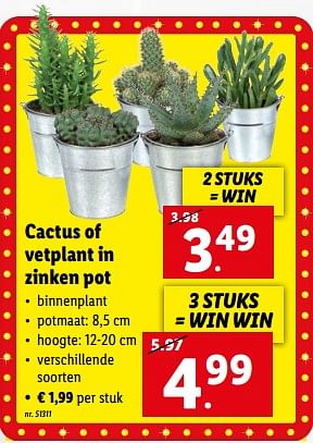 Promoties Cactus of vetplant in zinken pot - Huismerk - Lidl - Geldig van 21/11/2022 tot 26/11/2022 bij Lidl