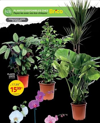 Promotions Plante verte - Produit maison - Brico - Valide de 16/11/2022 à 28/11/2022 chez Brico