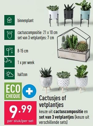Promoties Cactusjes of vetplantjes - Huismerk - Aldi - Geldig van 23/11/2022 tot 02/12/2022 bij Aldi