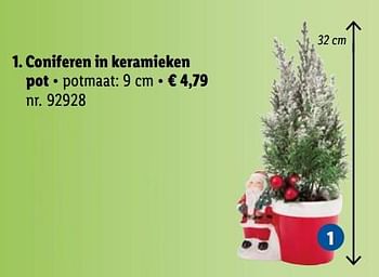Promoties Coniferen in keramieken pot - Huismerk - Lidl - Geldig van 28/11/2022 tot 03/12/2022 bij Lidl