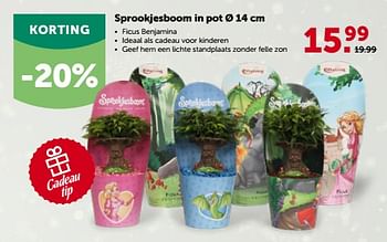 Promoties Sprookjesboom in pot - Efteling - Geldig van 28/11/2022 tot 10/12/2022 bij Aveve