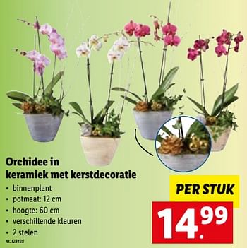 Promotions Orchidee in keramiek met kerstdecoratie - Produit maison - Lidl - Valide de 05/12/2022 à 10/12/2022 chez Lidl