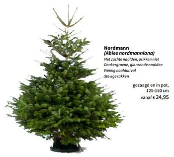 Promoties Echte kerstbomen nordmann - Huismerk - Horta - Geldig van 09/11/2022 tot 25/12/2022 bij Horta