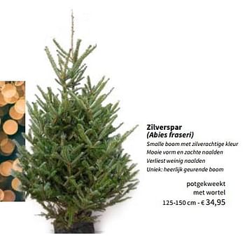 Promoties Echte kerstbomen zilverspar - Huismerk - Horta - Geldig van 09/11/2022 tot 25/12/2022 bij Horta