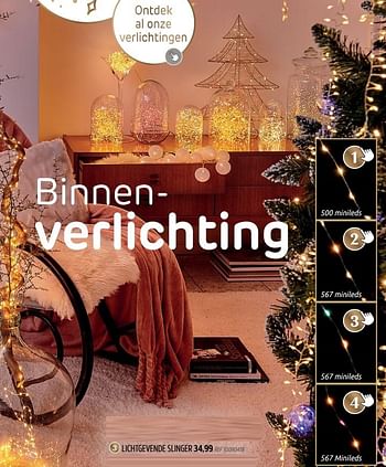 Promoties Lichtgevende slinger 567 minileds - Huismerk - Brico - Geldig van 30/11/2022 tot 29/12/2022 bij Brico