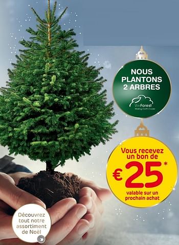 Promotions Nous plantons 2 arbres vous recevez un bon de €25 valable sur un prochain achat - Produit maison - Brico - Valide de 30/11/2022 à 29/12/2022 chez Brico