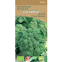 Somers zaad pakket broccoli groen 