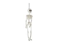 Skelet Hangend Natuur 10X4Xh48Cm Kunststof-Cosy&Trendy