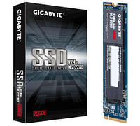 Gigabyte 256GB NVMe SSD-Gigabyte