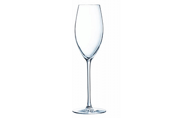 Promoties Luminarc Champagneglas Grand Chais 24 cl transparant - Luminarc - Geldig van 09/07/2022 tot 30/10/2022 bij Makro