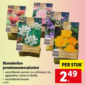 Promoties Bloembollen premiumzomerplanten - Huismerk - Lidl - Geldig van 15/01/2023 tot 21/01/2023 bij Lidl