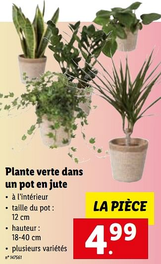 Promotions Plante verte dans un pot en jute - Produit maison - Lidl - Valide de 15/01/2023 à 21/01/2023 chez Lidl