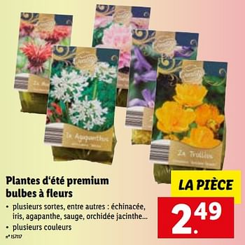 Promotions Plantes d‘été premium bulbes à fleurs - Produit maison - Lidl - Valide de 15/01/2023 à 21/01/2023 chez Lidl