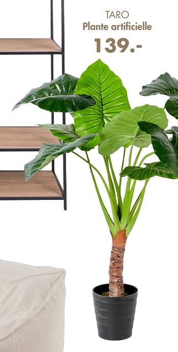 Produit maison - Casa Taro plante artificielle - En promotion chez Casa