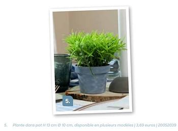 Promotions Plante dans pot - Produit Maison - Ava - Valide de 19/01/2023 à 30/06/2023 chez Ava