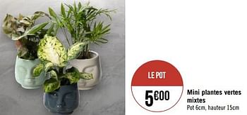 Promotions Mini plantes vertes mixtes - Produit Maison - Géant Casino - Valide de 23/01/2023 à 05/02/2023 chez Géant Casino