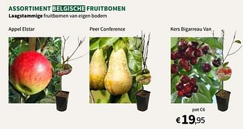 Promoties Assortiment belgische fruitbomen - Huismerk - Horta - Geldig van 01/02/2023 tot 12/02/2023 bij Horta