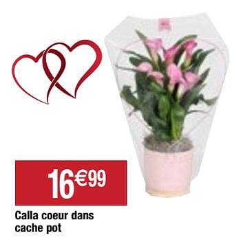 Promotions Calla coeur dans cache pot - Produit Maison - Migros - Valide de 07/02/2023 à 14/02/2023 chez Migros