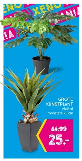 Promoties Grote kunstplant - Huismerk - Xenos - Geldig van 13/02/2023 tot 26/02/2023 bij Xenos