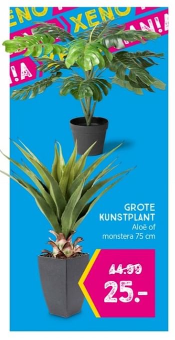 Promoties Grote kunstplant - Huismerk - Xenos - Geldig van 20/02/2023 tot 26/03/2023 bij Xenos