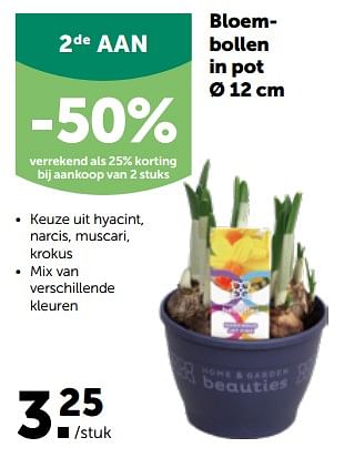 Promoties Bloembollen in pot - Huismerk - Aveve - Geldig van 27/02/2023 tot 12/03/2023 bij Aveve