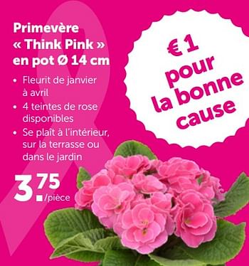 Promotions Primevère think pink en pot - Produit maison - Aveve - Valide de 27/02/2023 à 12/03/2023 chez Aveve