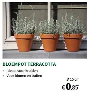 Promoties Bloempot terracotta - Huismerk - Horta - Geldig van 01/03/2023 tot 12/03/2023 bij Horta