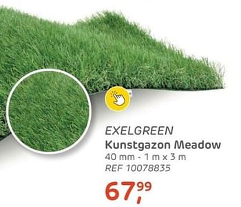 Plons Woestijn neutrale Exelgreen Exelgreen kunstgazon meadow - Promotie bij Brico