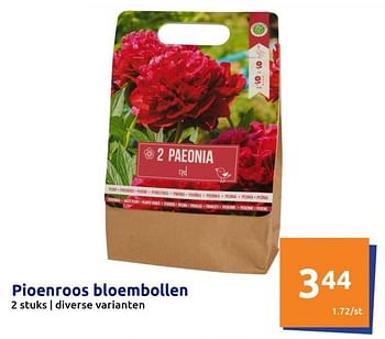 Promoties Pioenroos bloembollen - Huismerk - Action - Geldig van 08/03/2023 tot 14/03/2023 bij Action