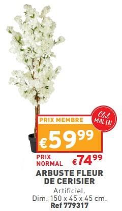 Promotions Arbuste fleur de cerisier - Produit maison - Trafic  - Valide de 15/03/2023 à 20/03/2023 chez Trafic