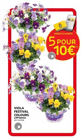 Promotions Viola festival colours - Central Park - Valide de 15/03/2023 à 27/03/2023 chez Brico