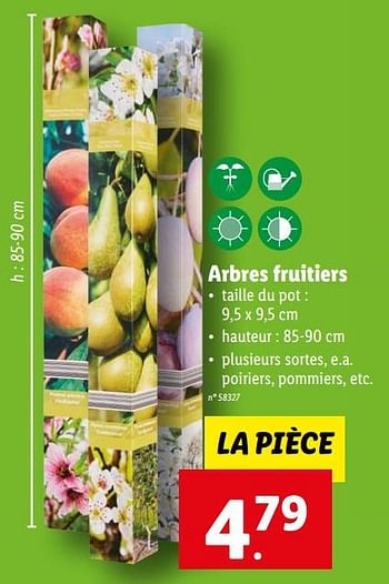 Promotions Arbres fruitiers - Produit maison - Lidl - Valide de 22/03/2023 à 28/03/2023 chez Lidl