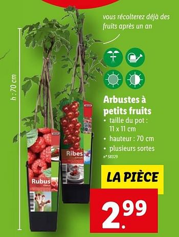Promotions Arbustes à petits fruits - Produit maison - Lidl - Valide de 22/03/2023 à 28/03/2023 chez Lidl